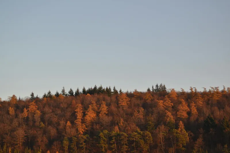 Grenzen ziehen, Vertrauen gewinnen: Warum konsequente Positionierung erfolgreicher ist als endlose Kompromisse